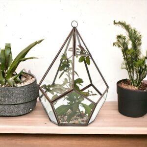 Glass Terrarium - Large Pyramid